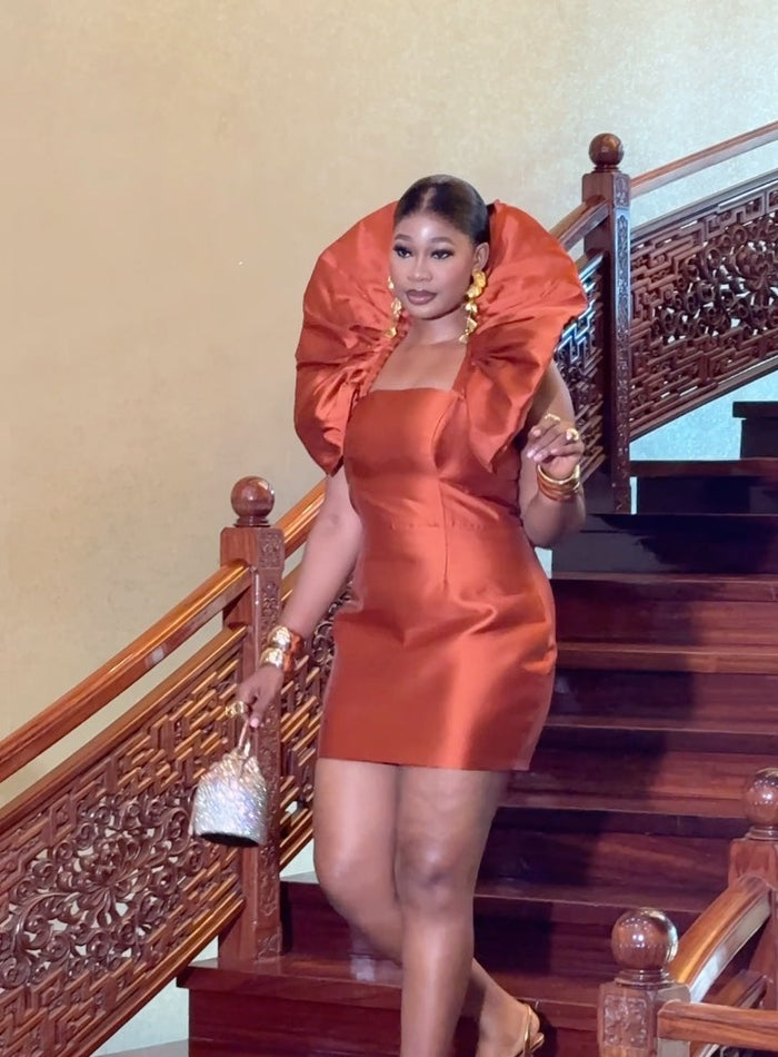 Amara Classy Ruffle Dress